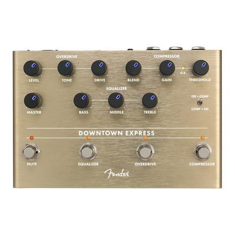 Fender Downtown Express manual