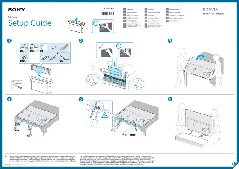 Sony BRAVIA Setup guide