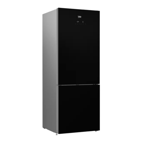 Beko RCNE520E20ZGW manual