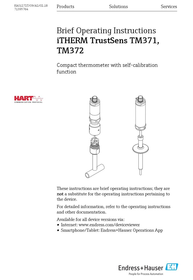 Endress+Hauser iTHERM TrustSens TM371 Technical specifications