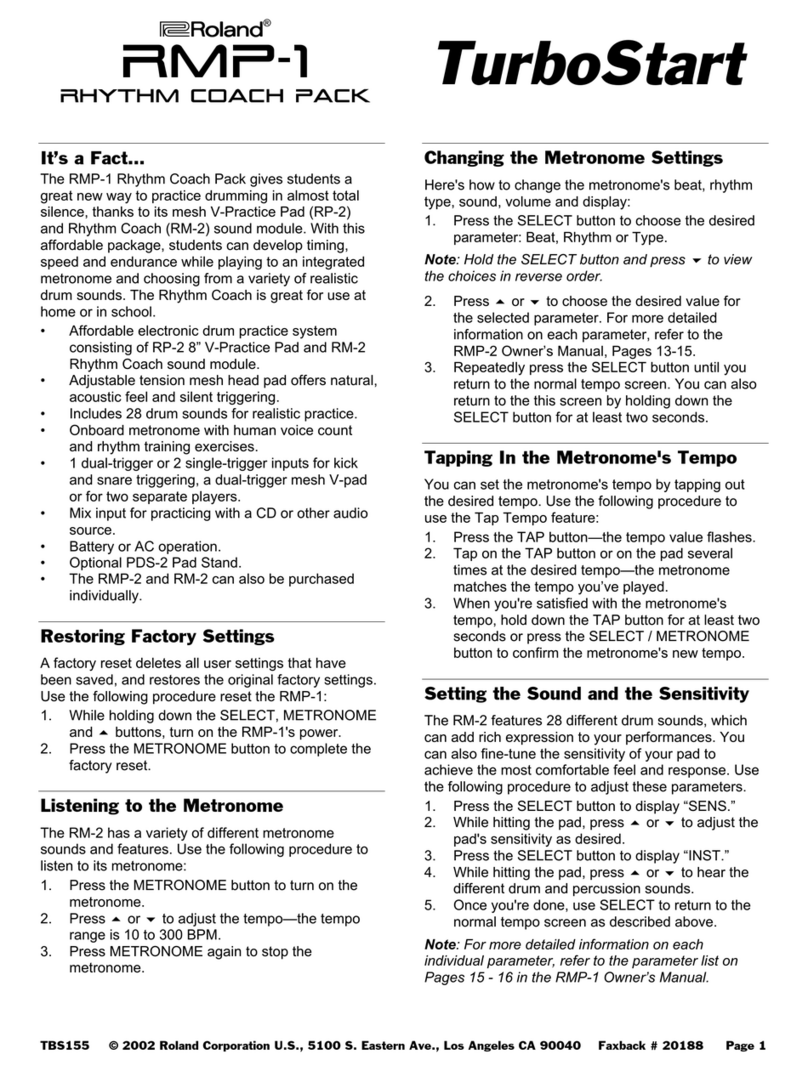 Roland RMP-1 User manual
