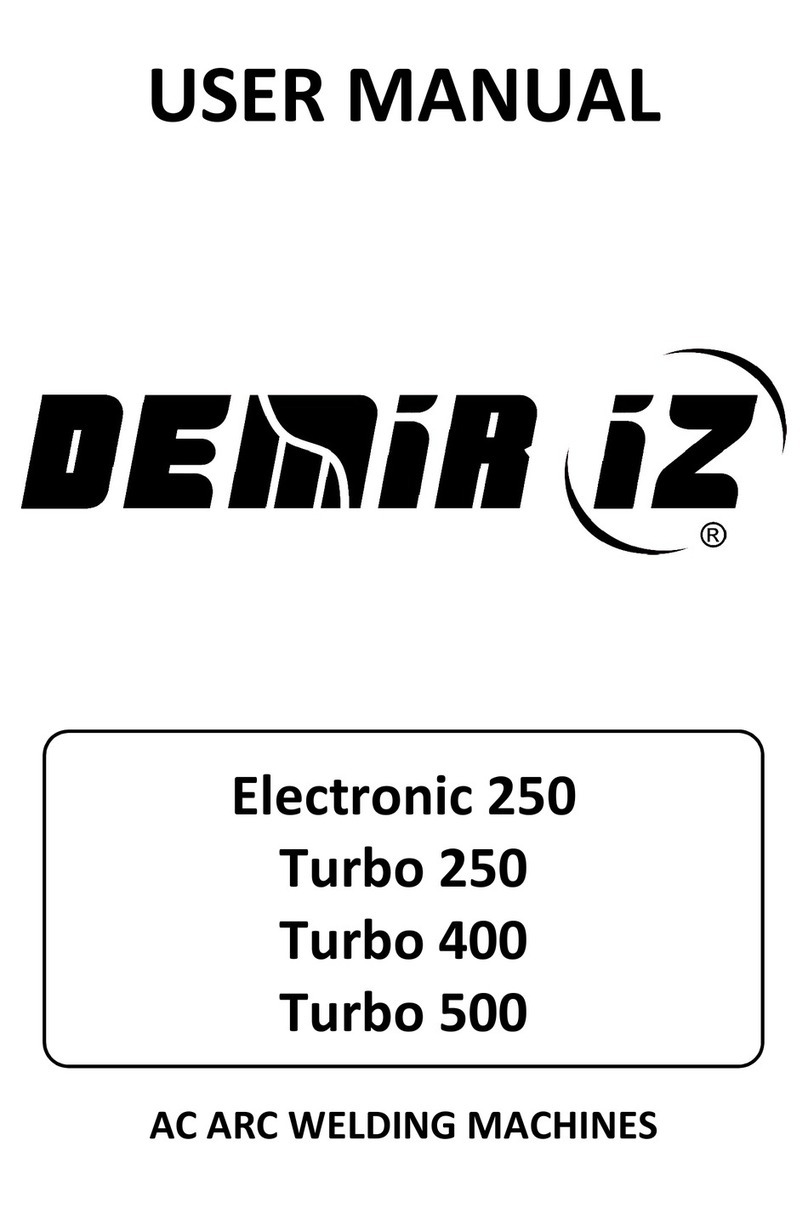 Demiriz Electronic 250 User manual