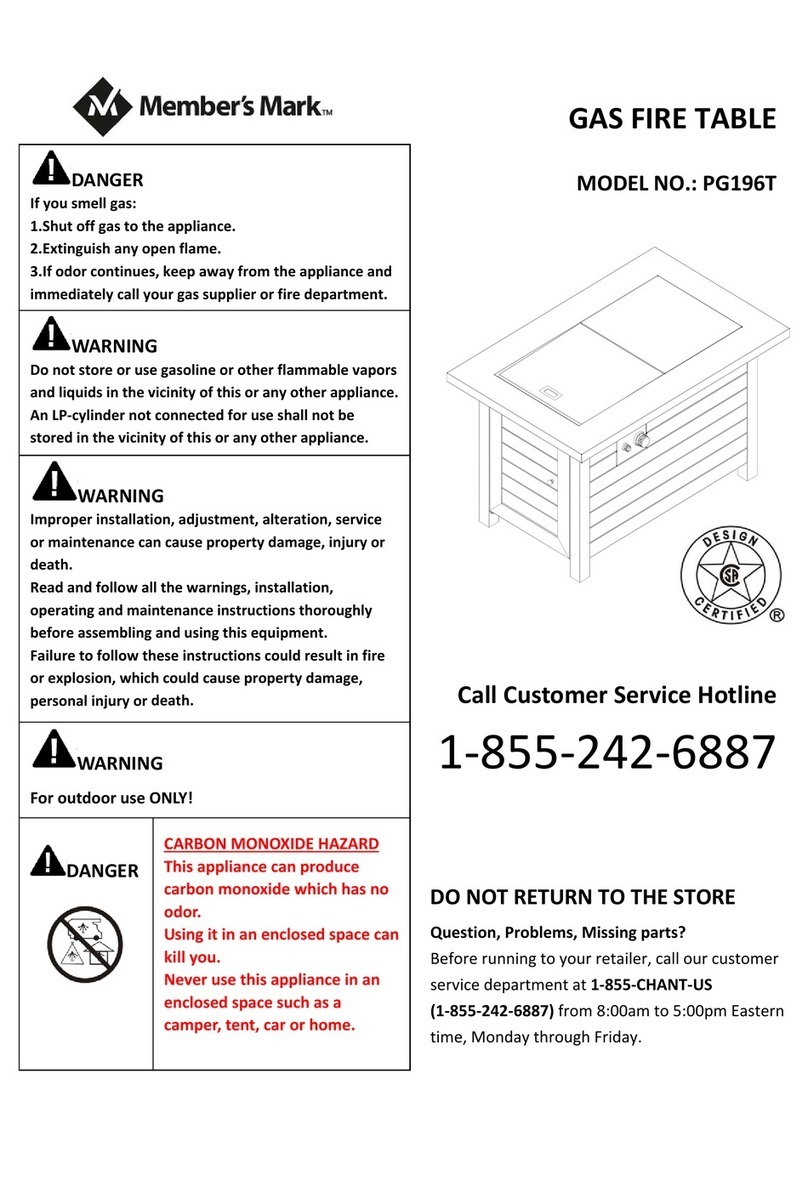 Members Mark PG196T User manual