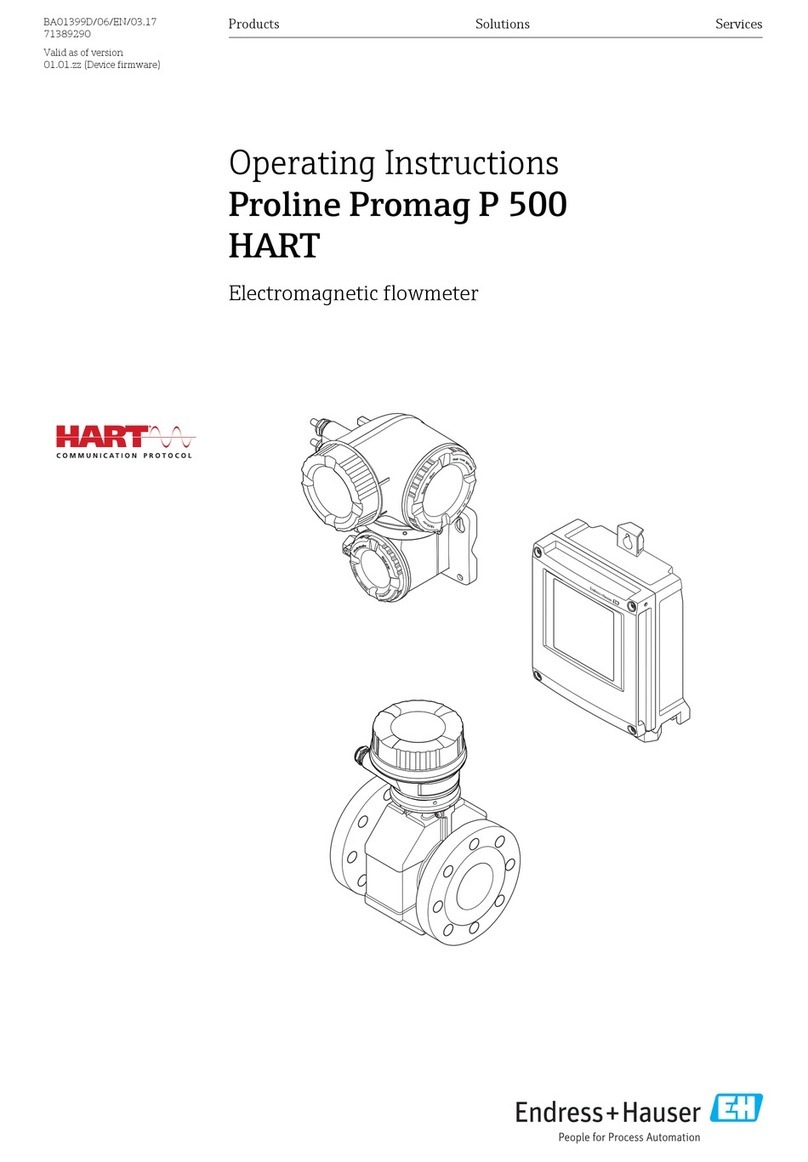 Endress+Hauser Hart Proline Promag P 500 operating instructions