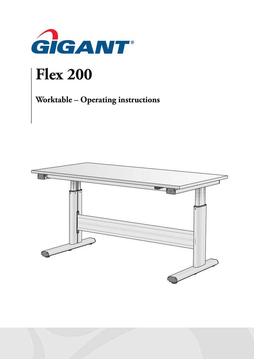 Gigant Flex 200 User manual