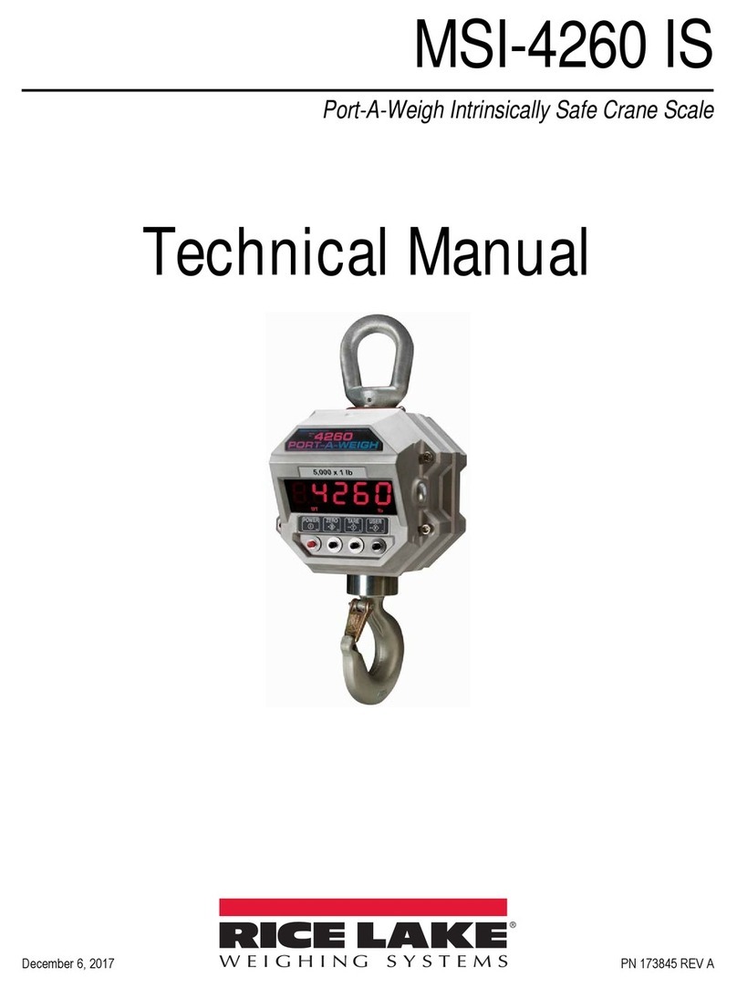 Rice Lake MSI-4260 IS Technical manual