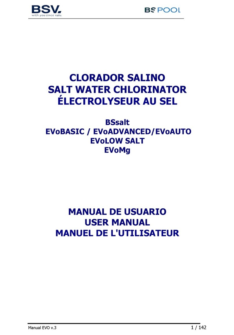 BSV BSsalt-10 user manual