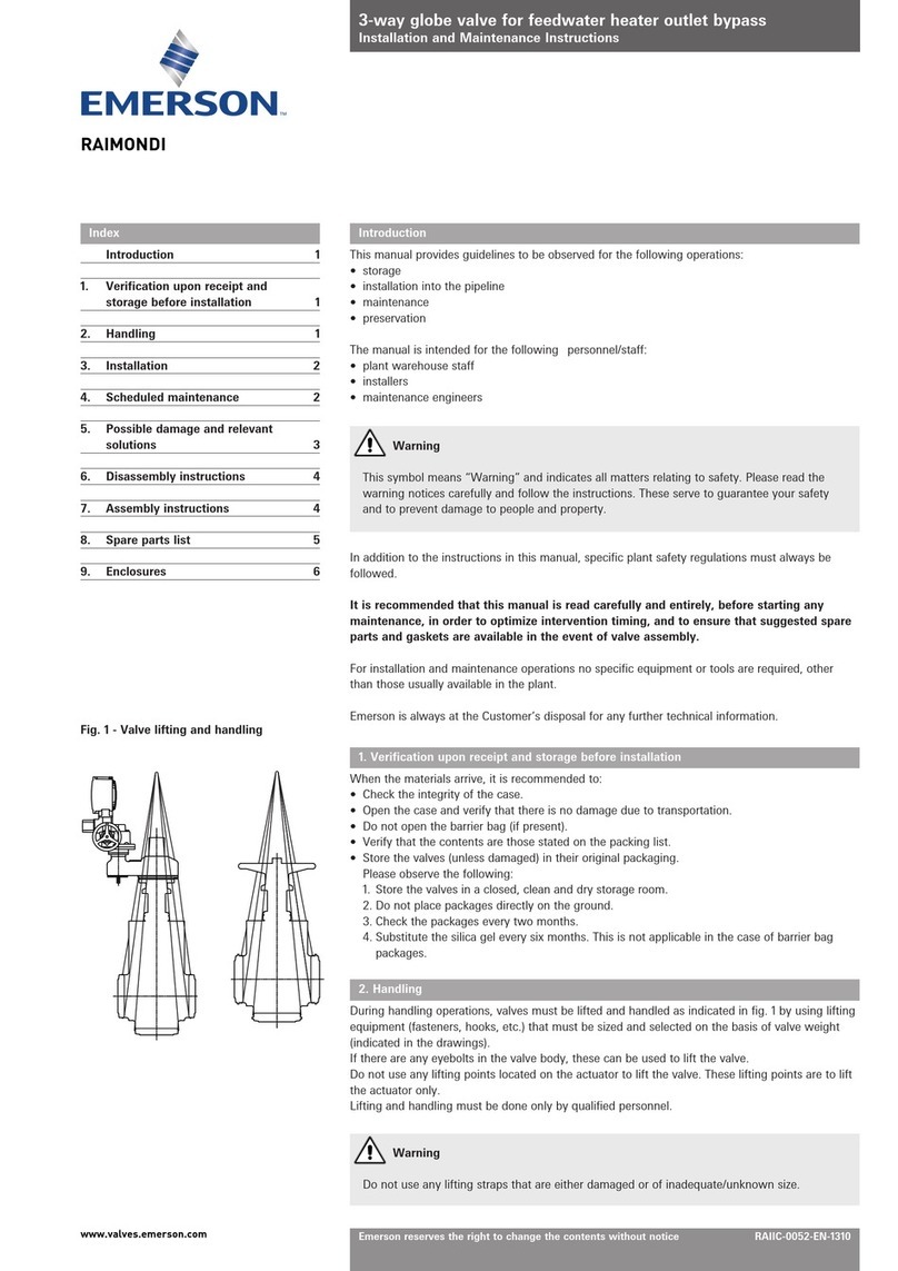 Emerson RAIMONDI User manual