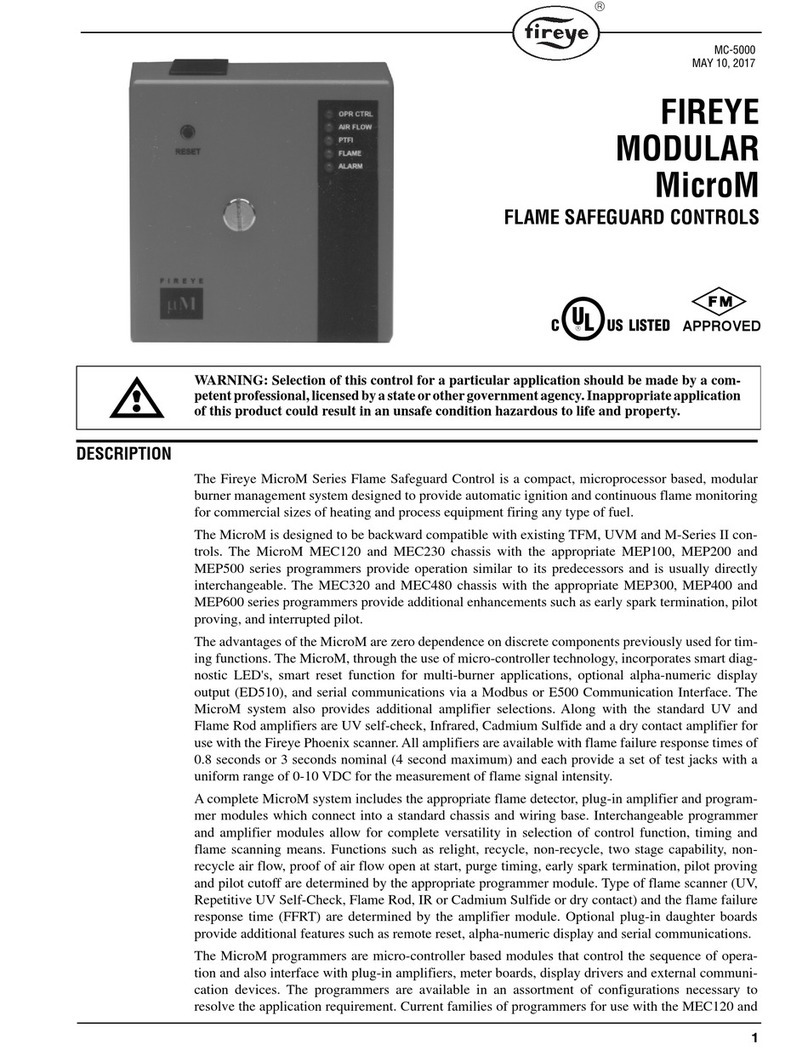 Fireye MicroM Series manual