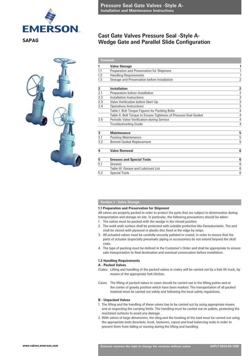 Emerson SAPAG User manual