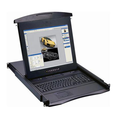 Austin Hughes CyberView N117 User manual