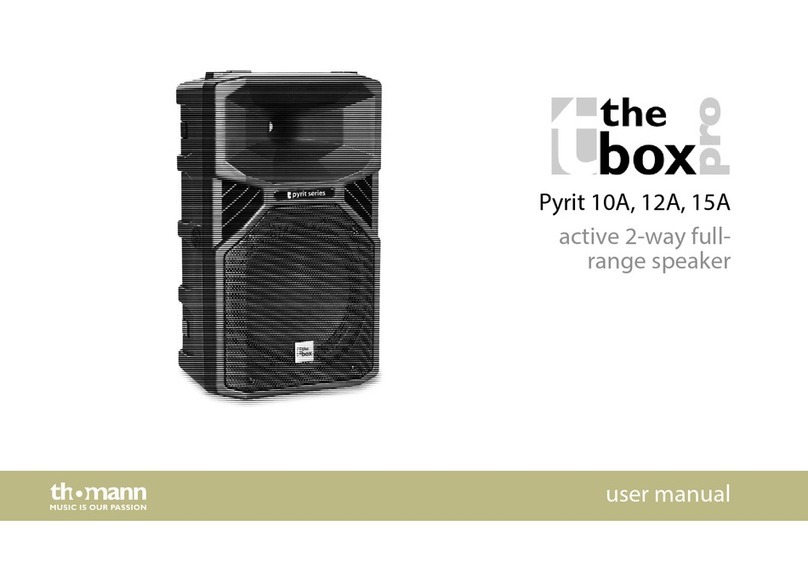 thomann Pyrit 10A user manual