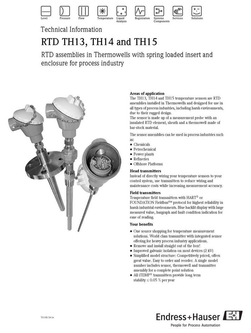 Endress+Hauser TH13 technical information