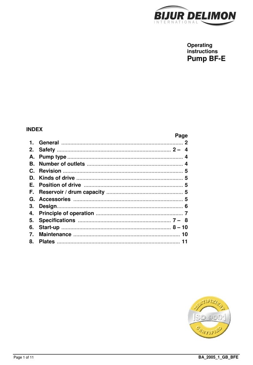 Bijur Delimon BF-E operating instructions