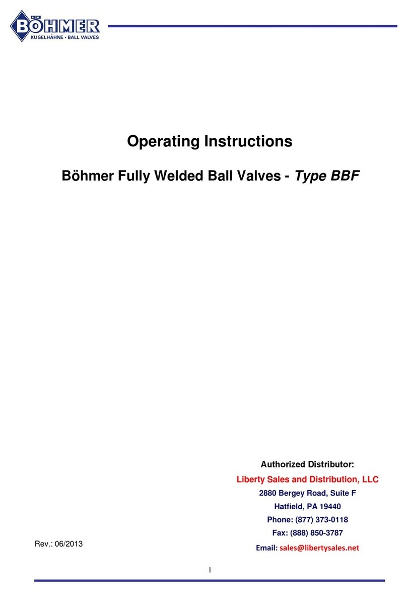 Böhmer BBF User manual