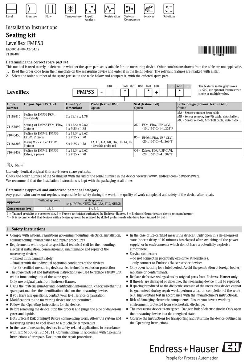 Endress+Hauser Levelflex FMP53 installation instructions