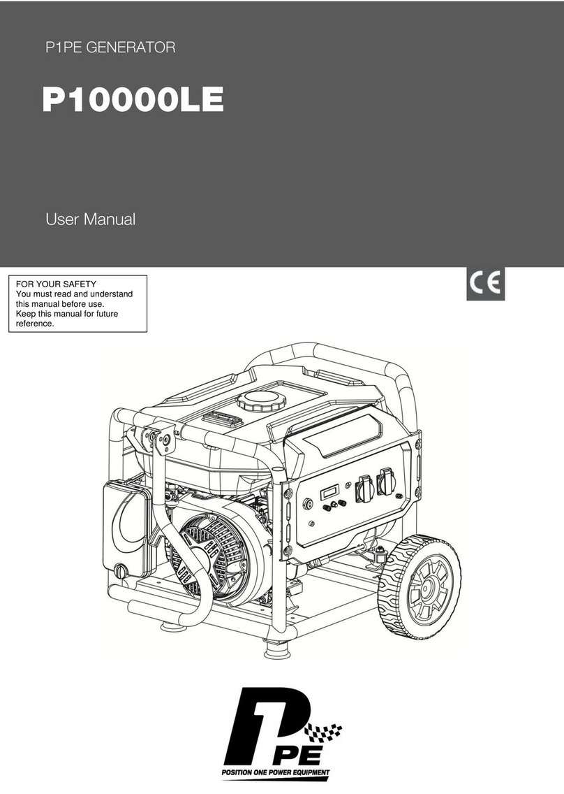 P1PE P10000LE user manual
