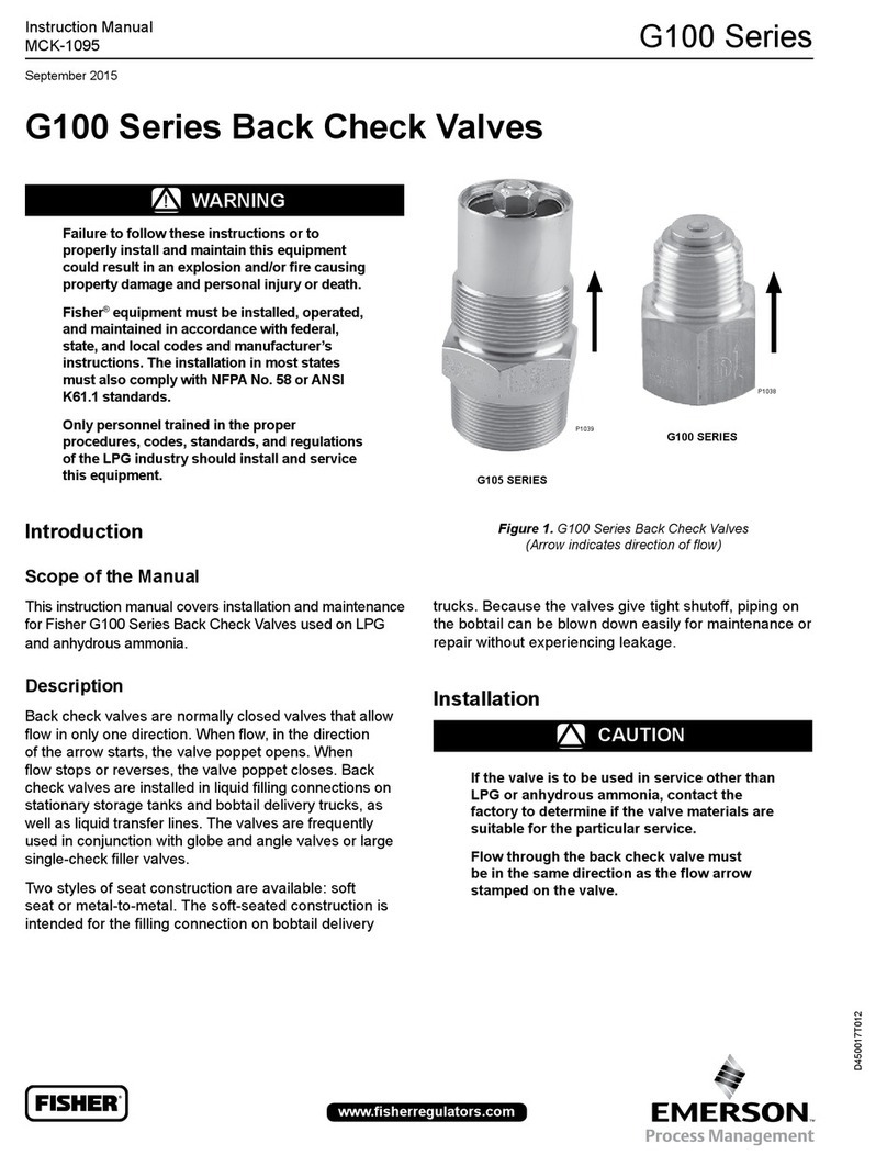 Emerson Fisher G101 Series User manual Emerson Fisher G101 Series User manual