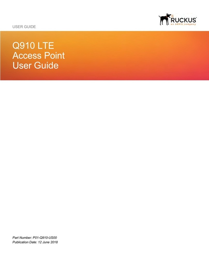 Ruckus Wireless Q910 user guide