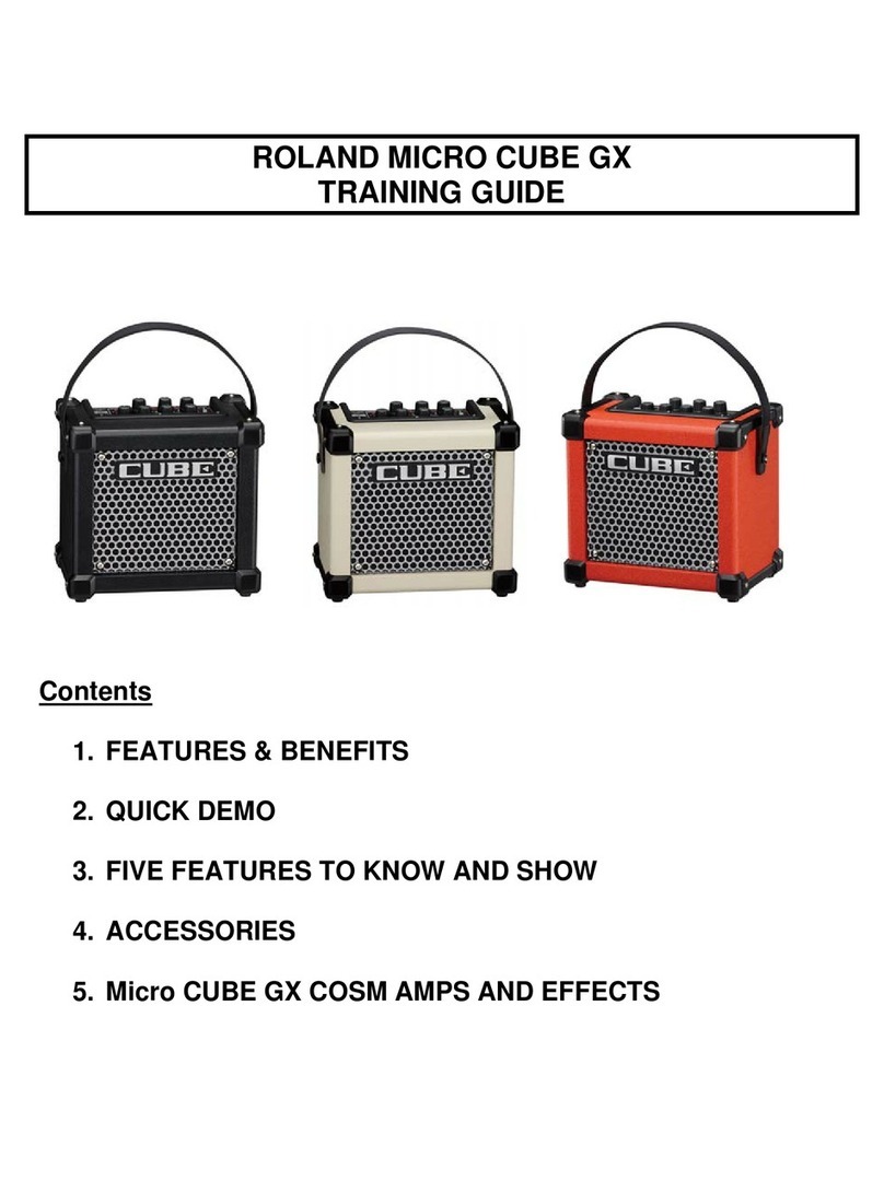 Roland MICRO CUBE GX Setup guide