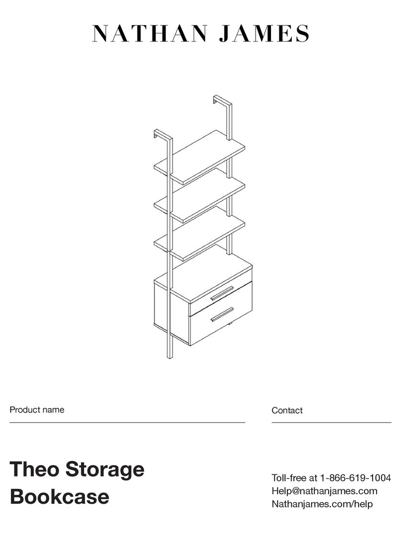 NATHAN JAMES Theo manual