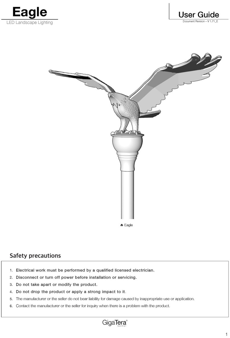 GigaTera Eagle user guide