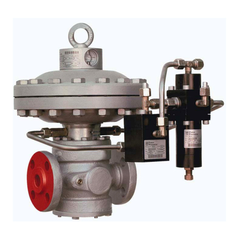 PIETRO FIORENTINI REFLUX 819 User manual