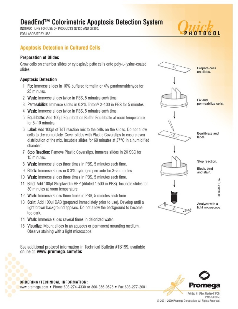 Promega DeadEnd G7360 Instructions for use