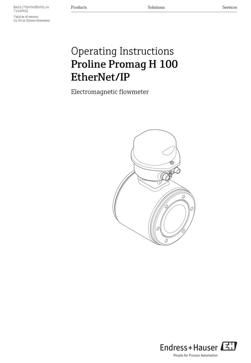 Endress+Hauser Proline Promag H 100 EtherNet/IP User manual