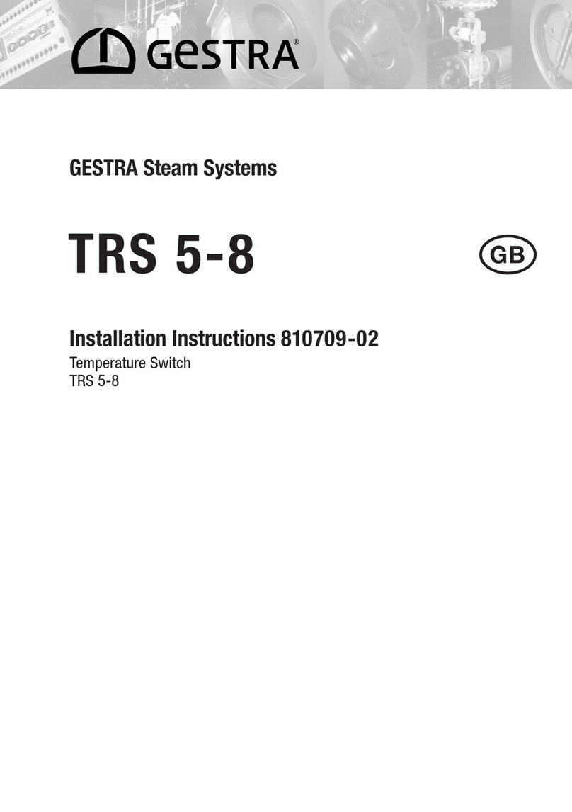 GESTRA TRS 5-8 installation instructions