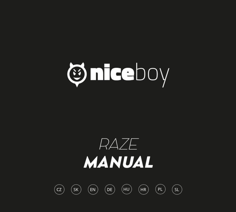 Niceboy RAZE manual