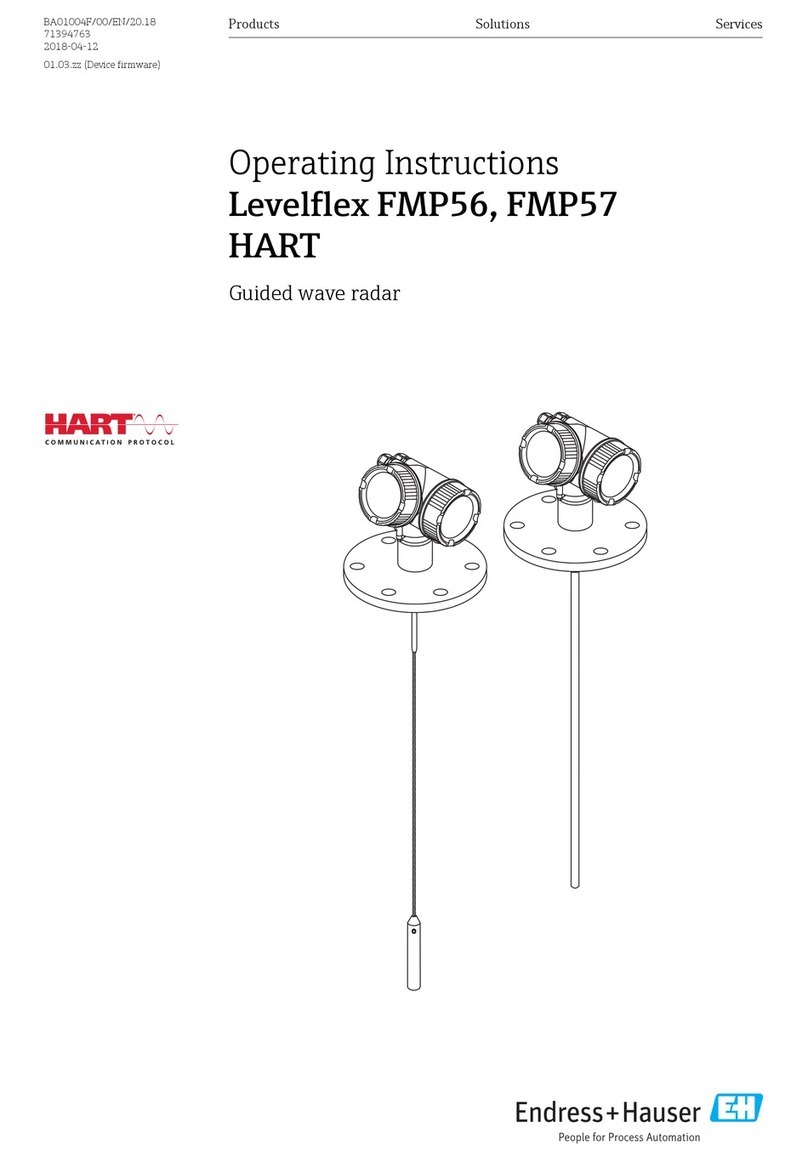 Endress+Hauser Levelflex FMP56 User manual