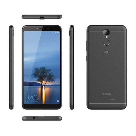 Hisense F24 User manual