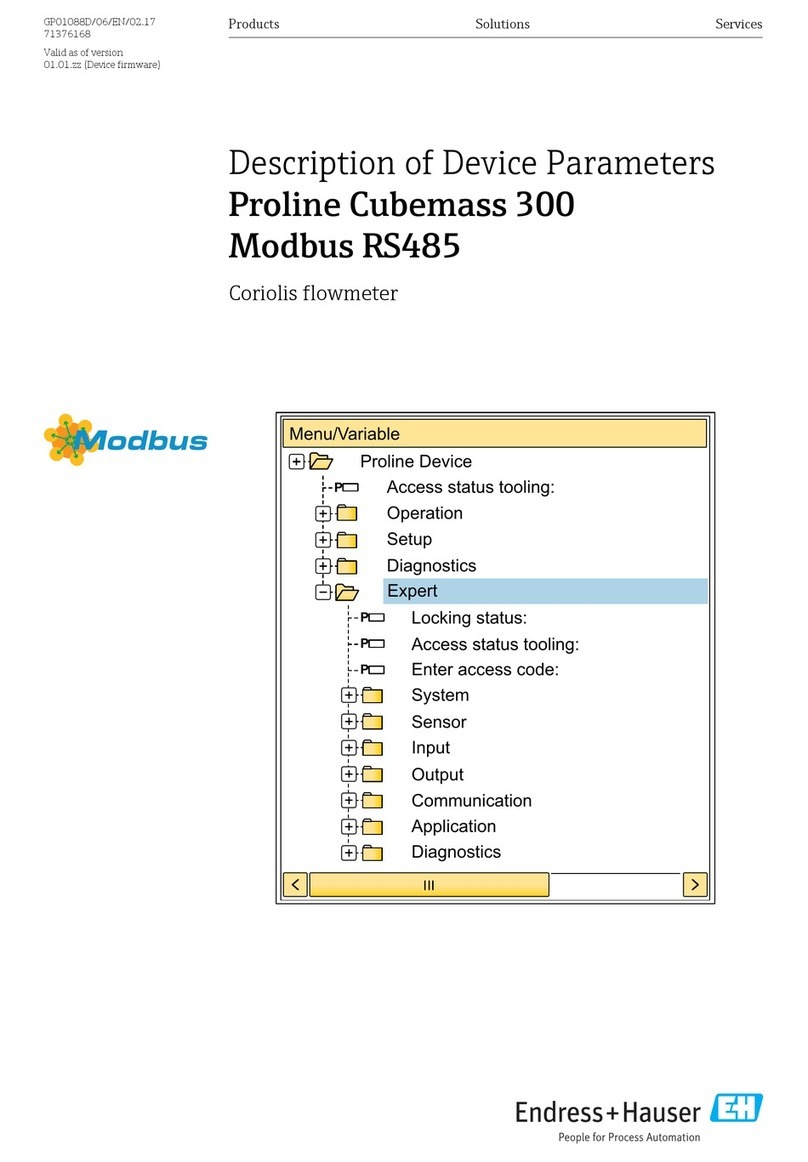 Endress+Hauser Proline Cubemass 300 Application guide