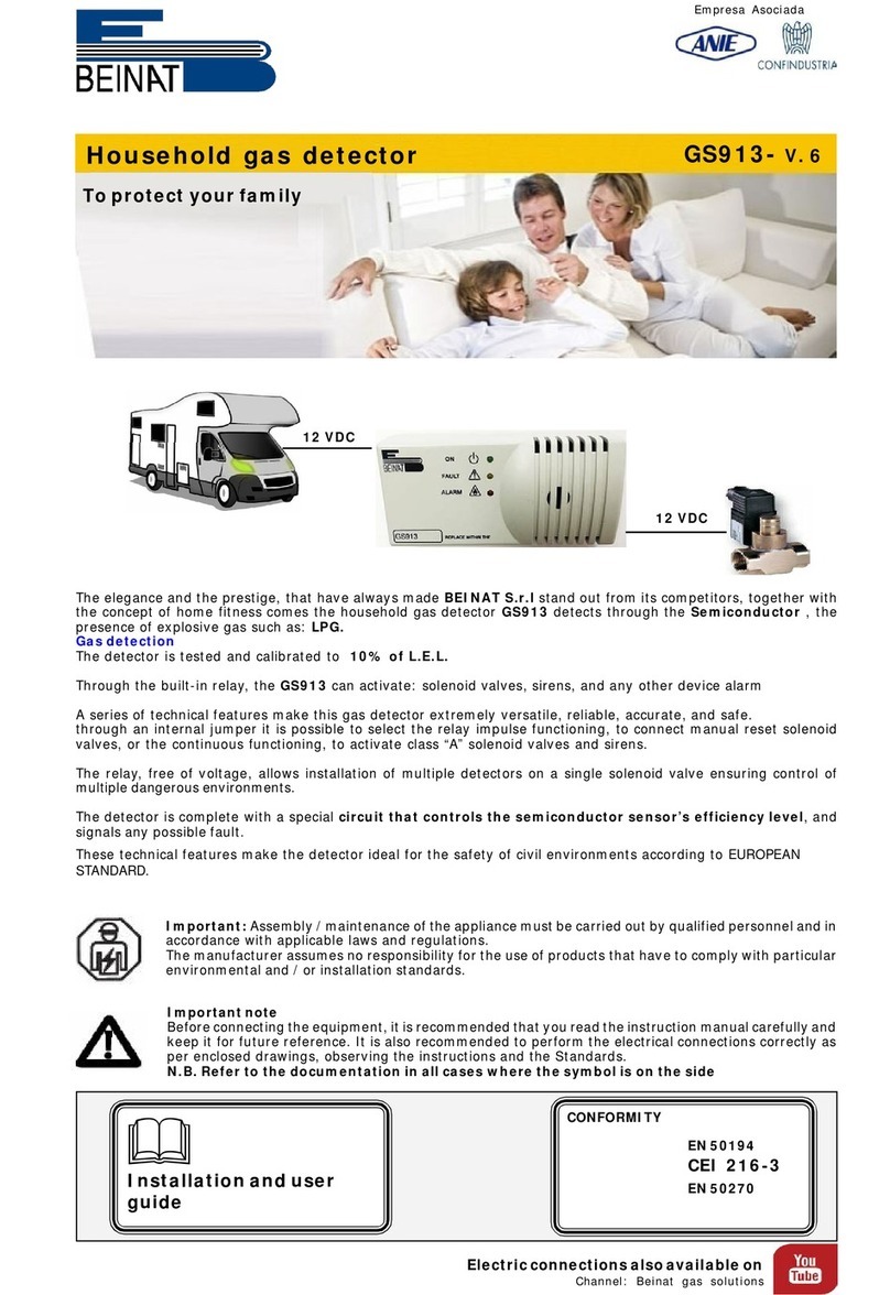 BEINAT GS913- V.6 manual
