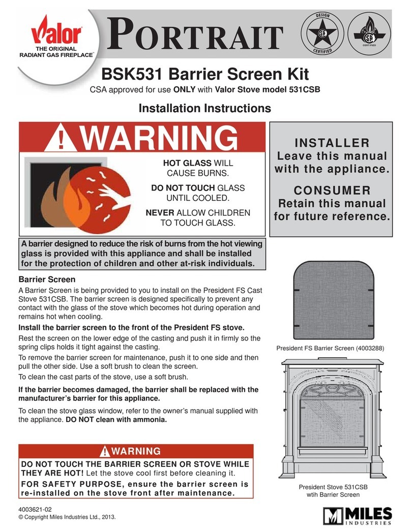 Valor PORTRAIT BSK531 User manual Valor PORTRAIT BSK531 User manual