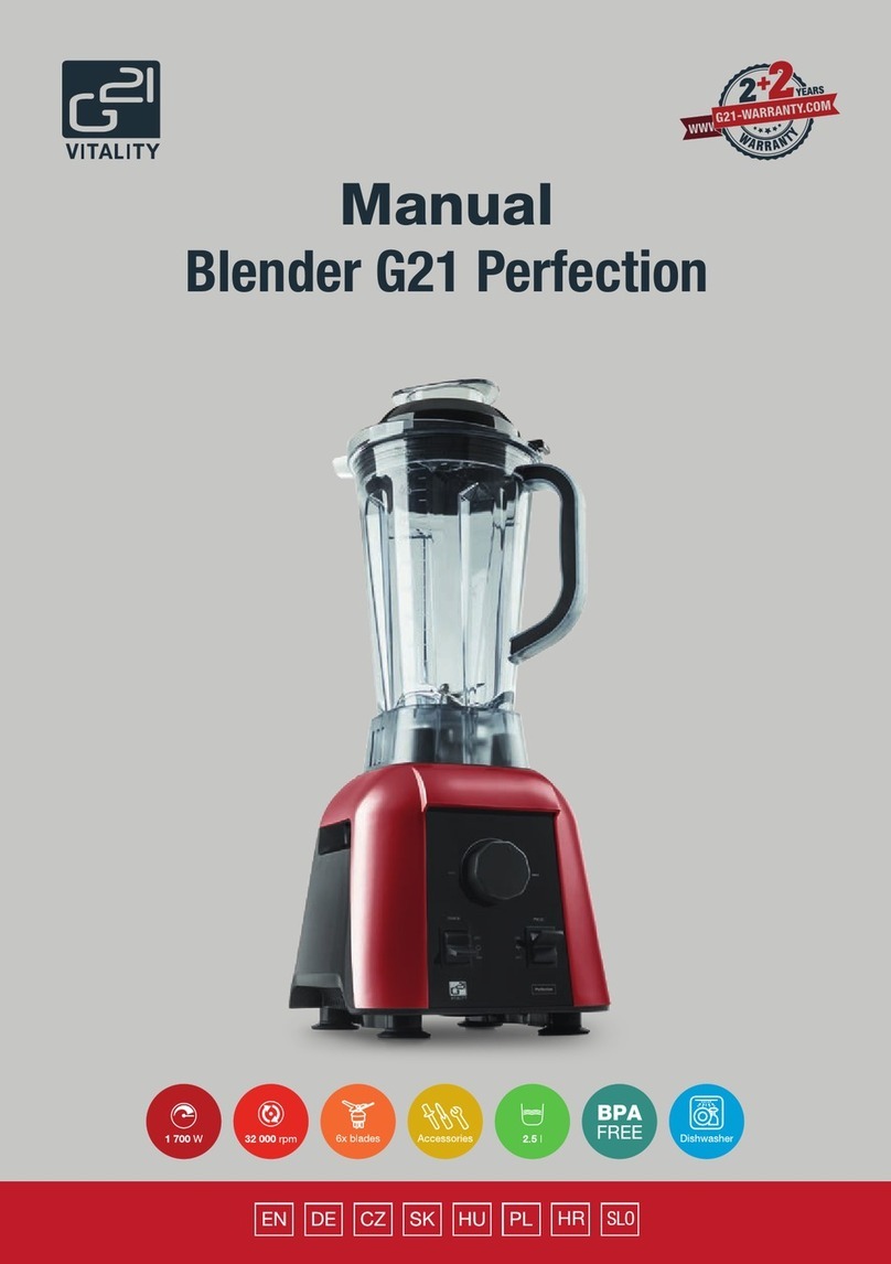 G21 G21 Perfection User manual