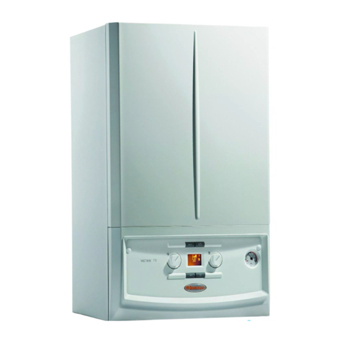 Immergas VICTRIX 24 TT 2 ERP Product manual