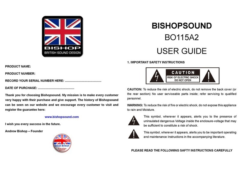 Bishopsound Orion BO115A2 user guide