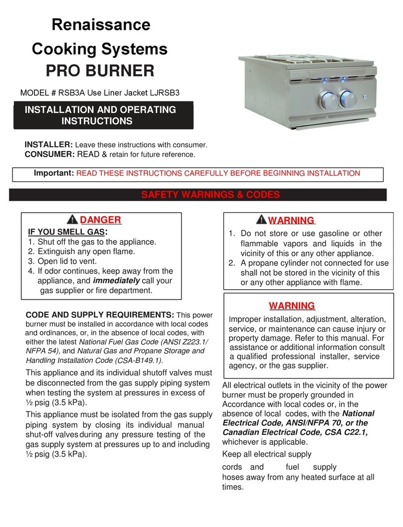 RCS PRO RSB3A User manual