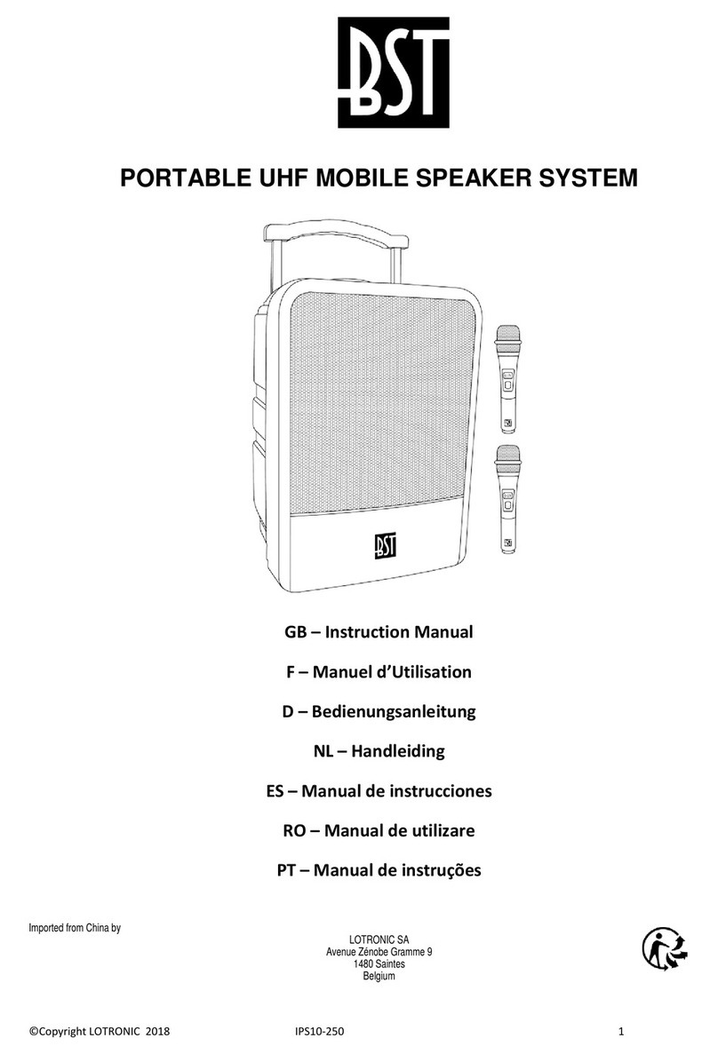BST IPS10-250 instruction manual