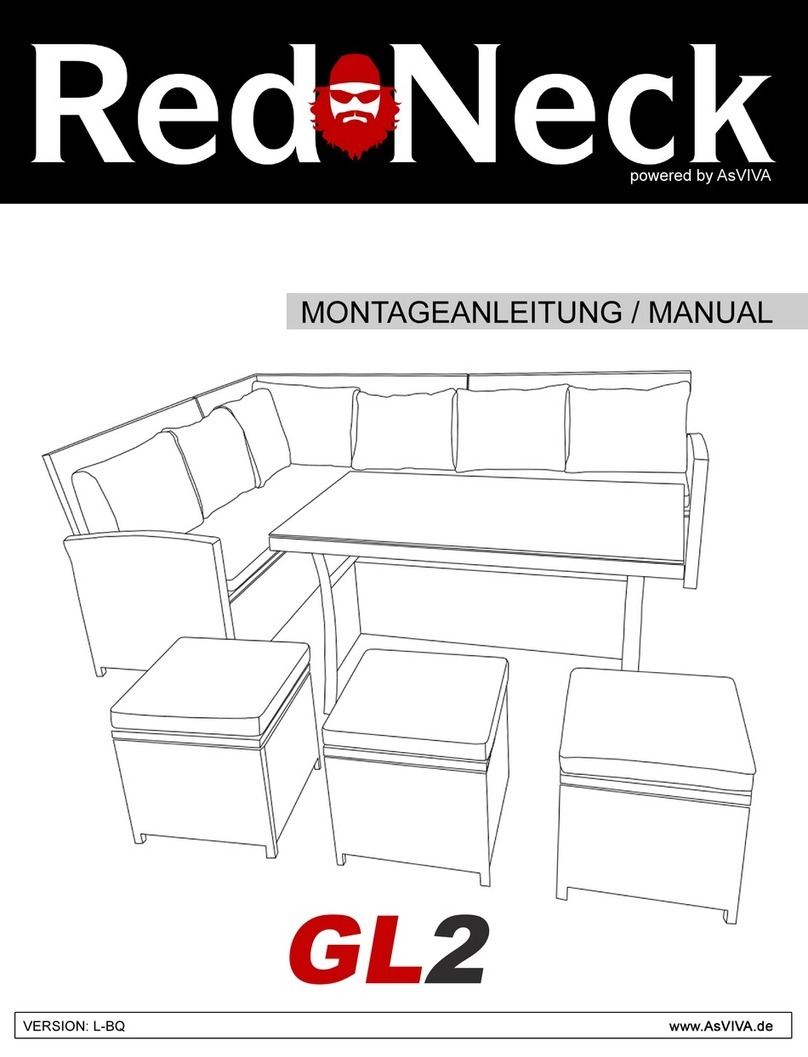 AsVIVA Red Neck GL2 User manual