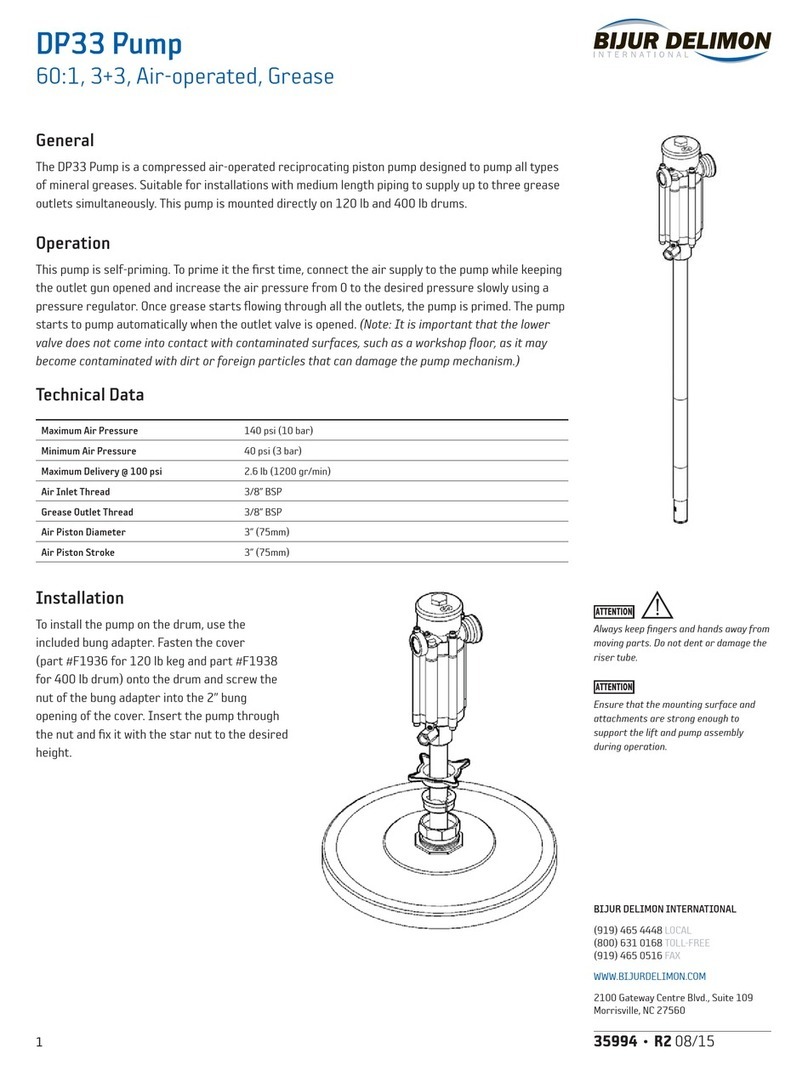 Bijur Delimon DP33 manual