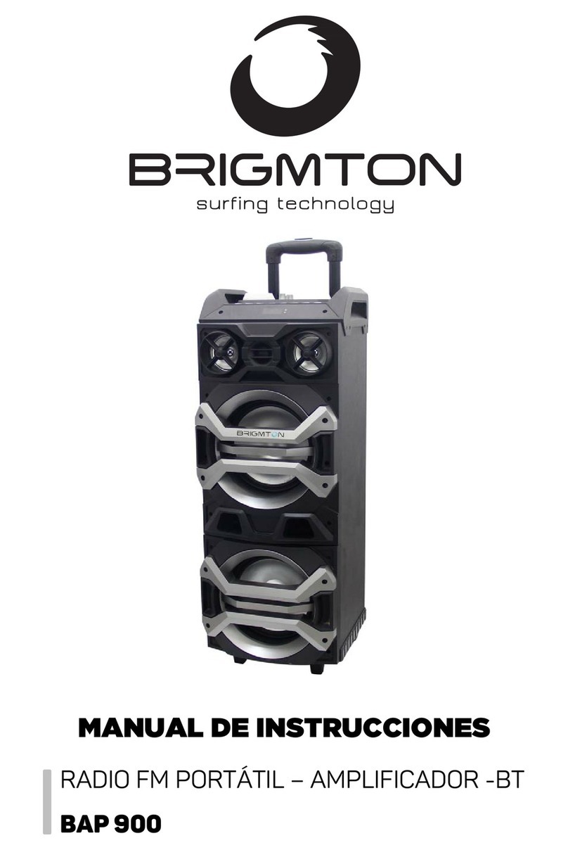 Brigmton BAP 900 instruction manual