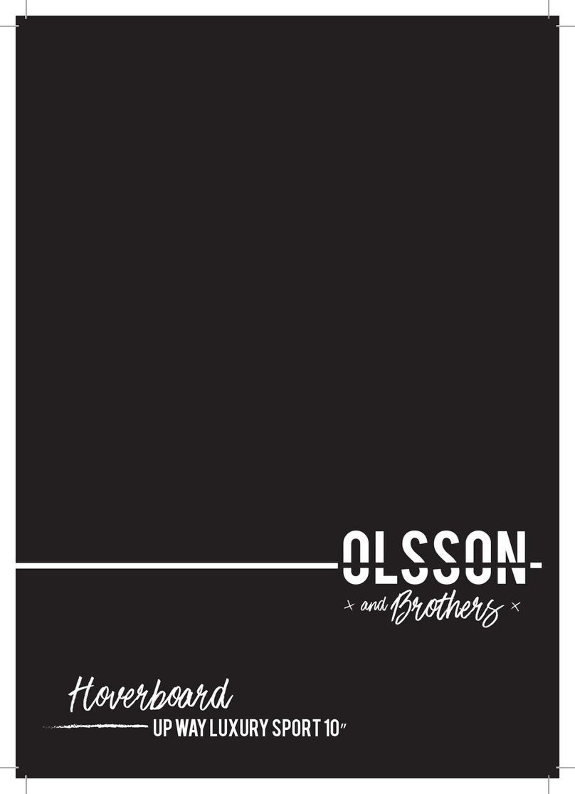 Olsson and Brothers UP WAY LUXURY SPORT 10 User manual and warranty