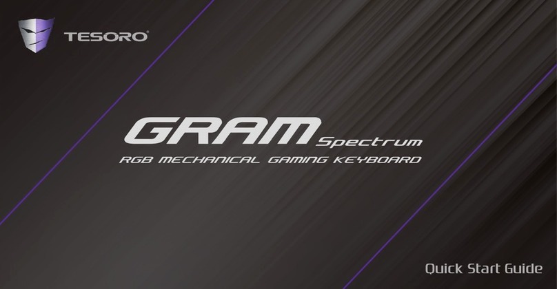 Tesoro GRAM Spectrum quick start guide
