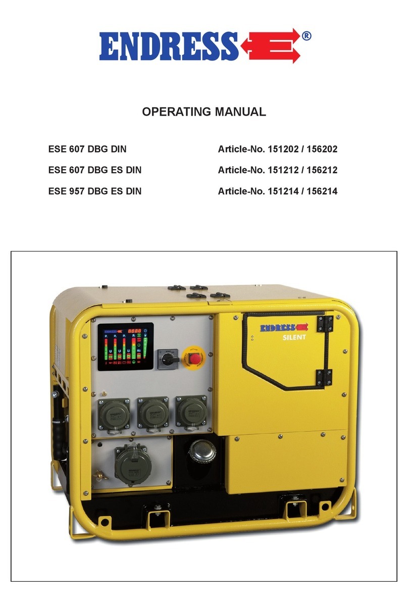 Endress ESE 607 DBG ES DIN User manual