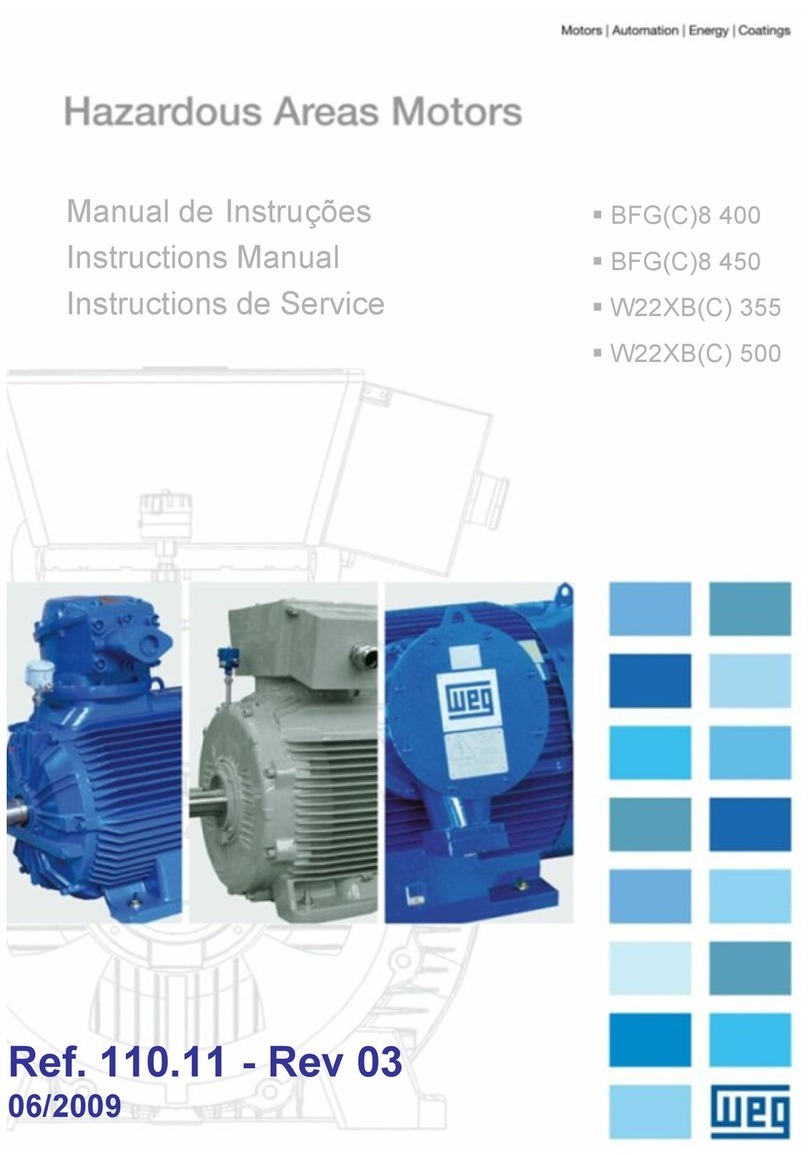 WEG BFGC8 400 instruction manual