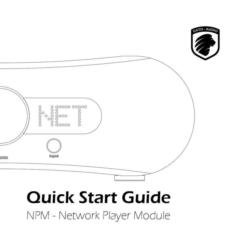 Gato Audio NPM quick start