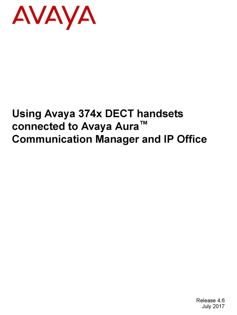 Avaya 374 DECT Series User manual